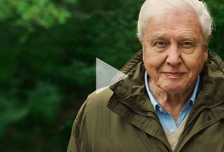 大衛(wèi)·愛登堡